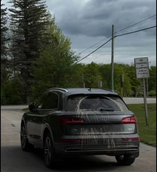 2018 Audi FY Q5 - Image 2 of 2