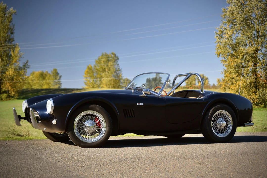 Shelby Cobra Replica - Image 2 of 31