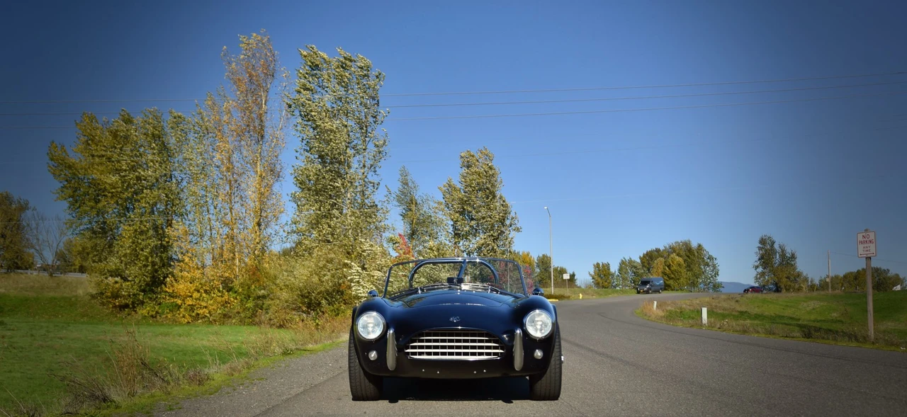Shelby Cobra Replica - Image 12 of 31