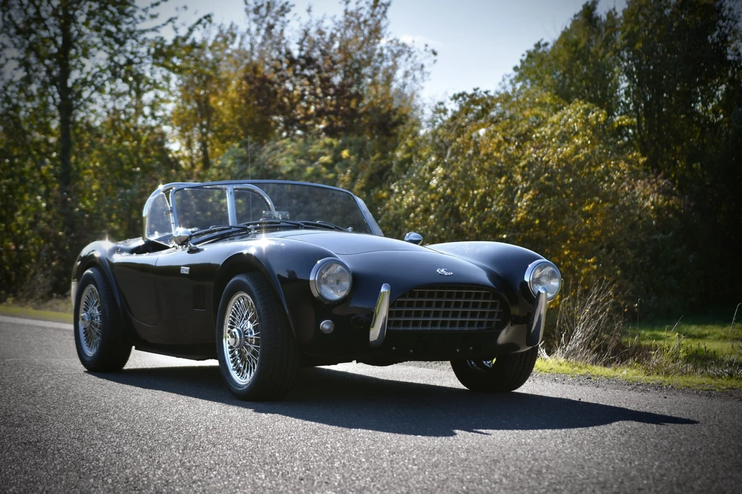 Shelby Cobra Replica - Image 13 of 31