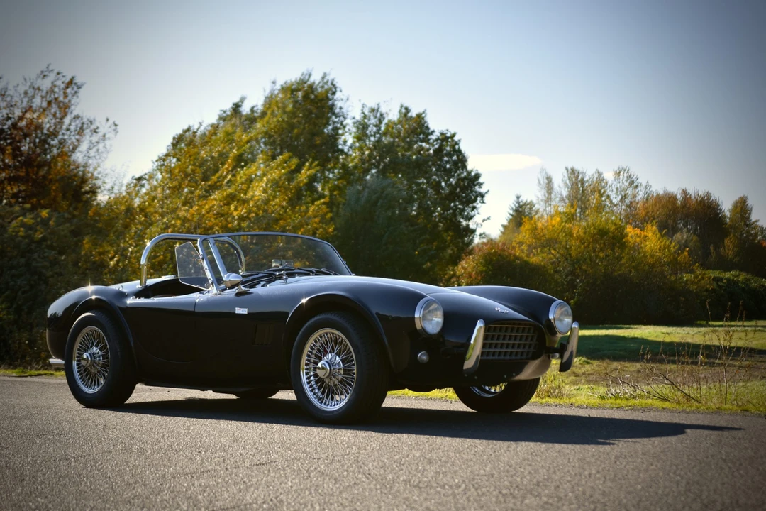 Shelby Cobra Replica - Image 14 of 31