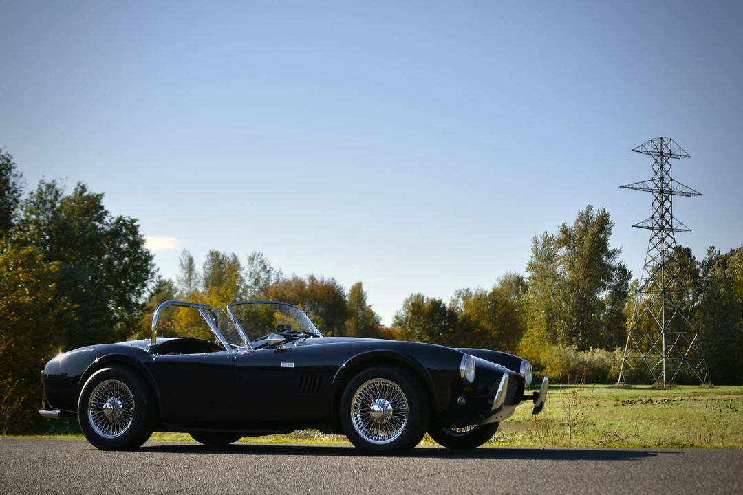 Shelby Cobra Replica - Image 15 of 31