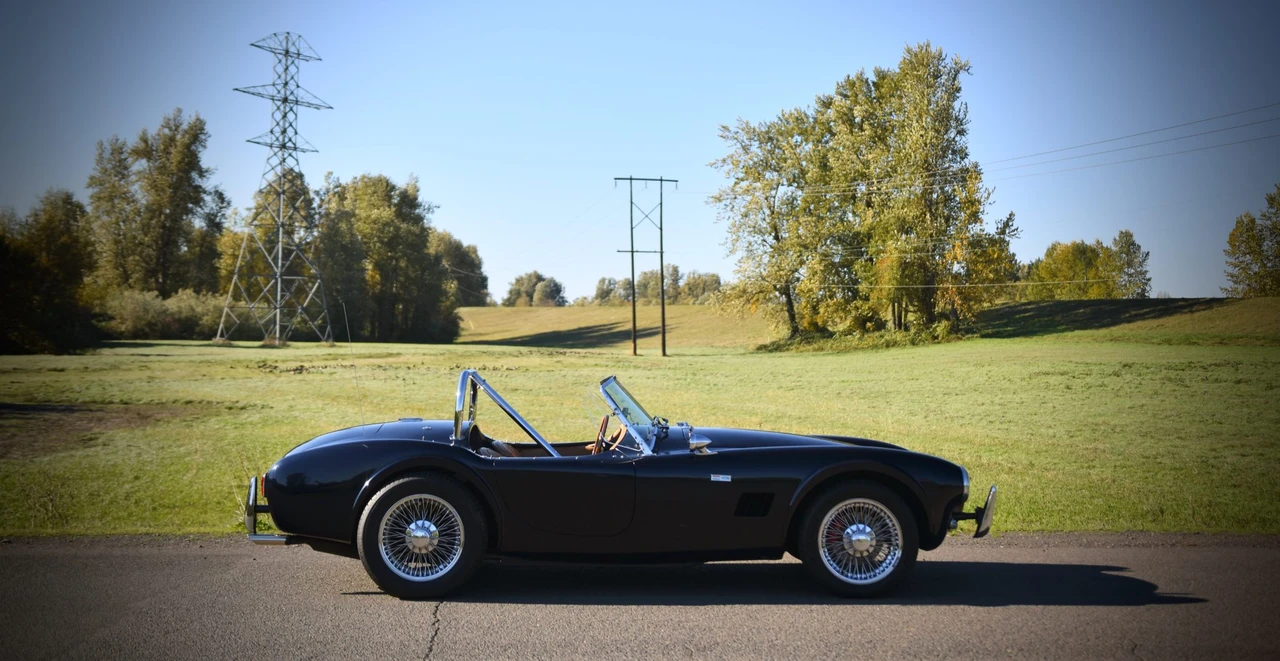 Shelby Cobra Replica - Image 16 of 31