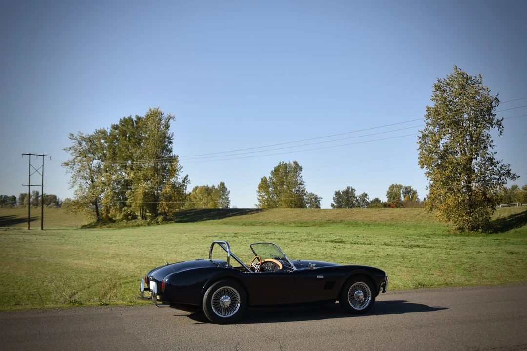 Shelby Cobra Replica - Image 18 of 31