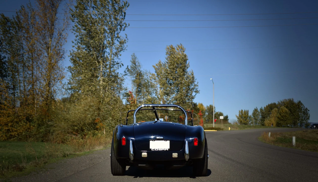 Shelby Cobra Replica - Image 23 of 31