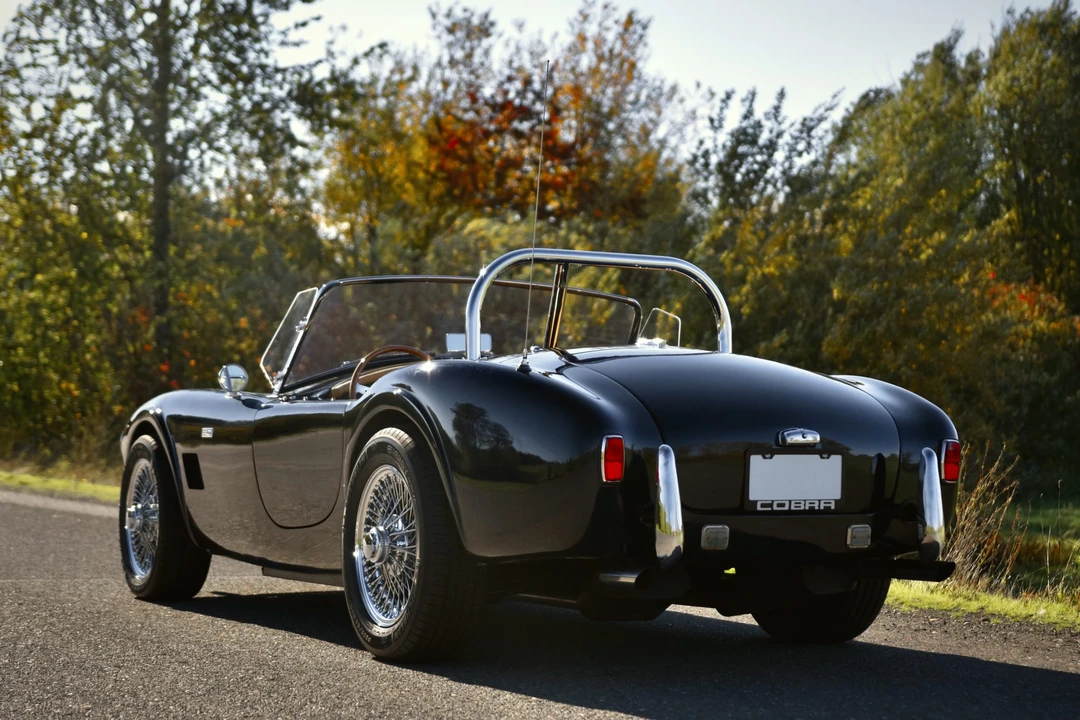 Shelby Cobra Replica - Image 25 of 31