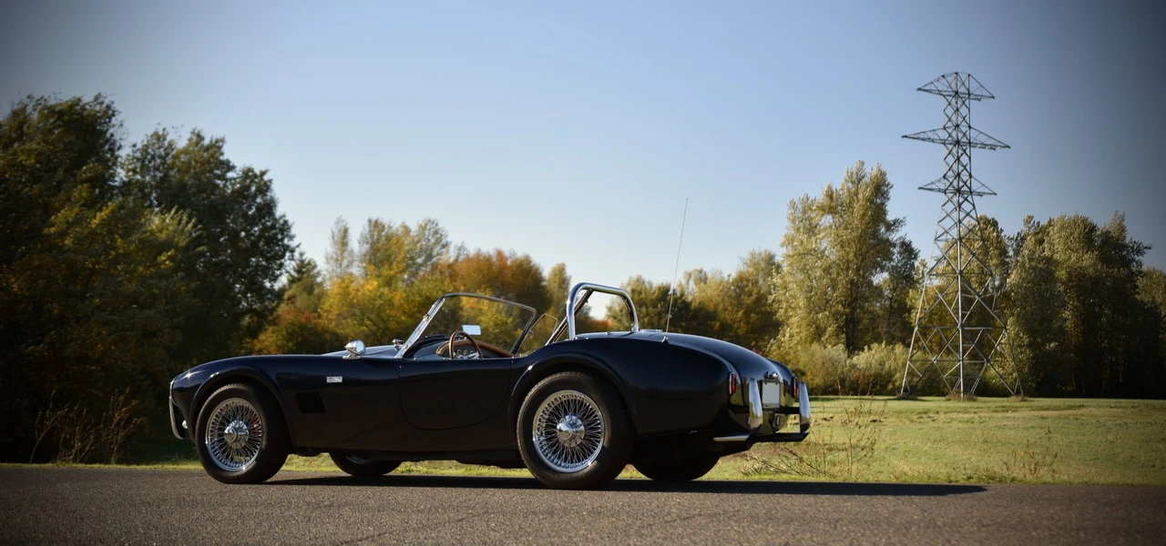 Shelby Cobra Replica - Image 30 of 31