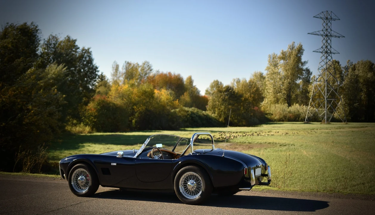Shelby Cobra Replica - Image 28 of 31