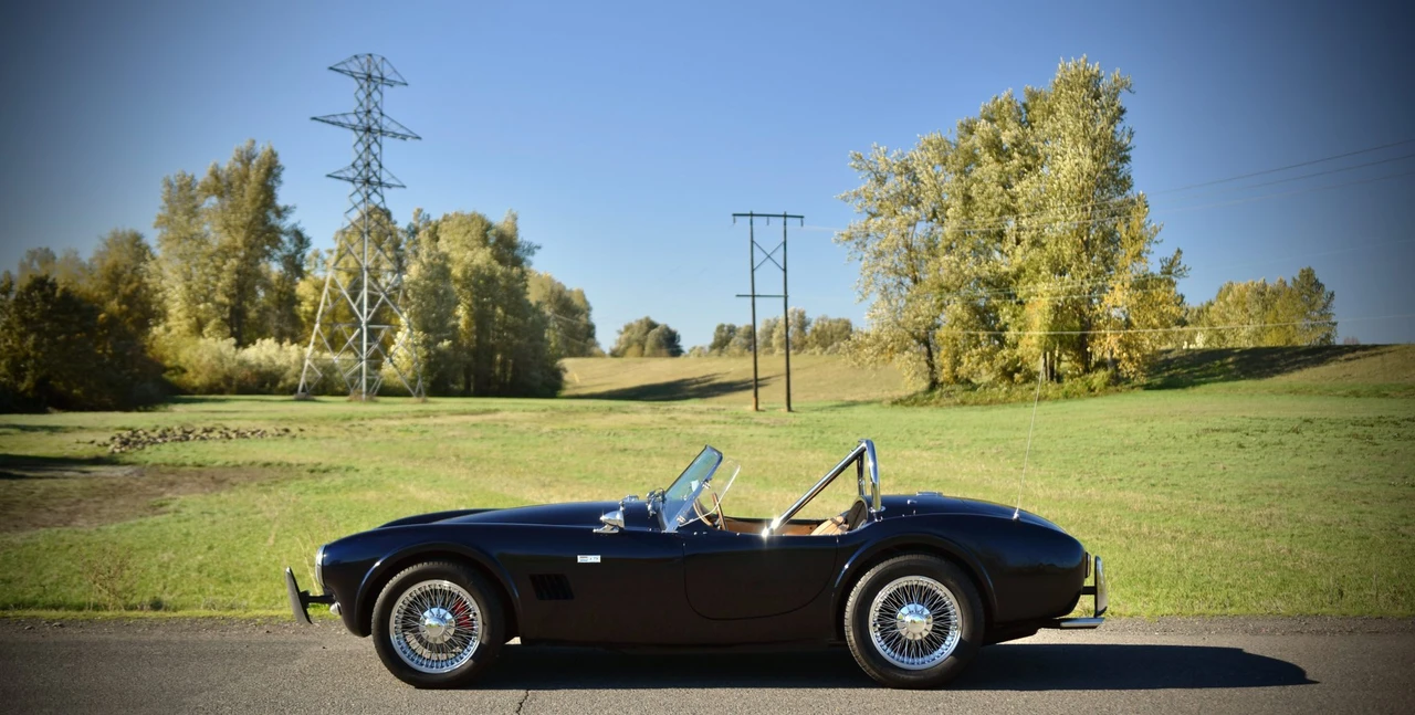 Shelby Cobra Replica - Image 31 of 31