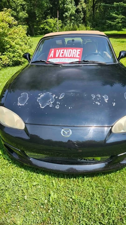 2000 Mazda NB MX-5 Miata - Image 9 of 9