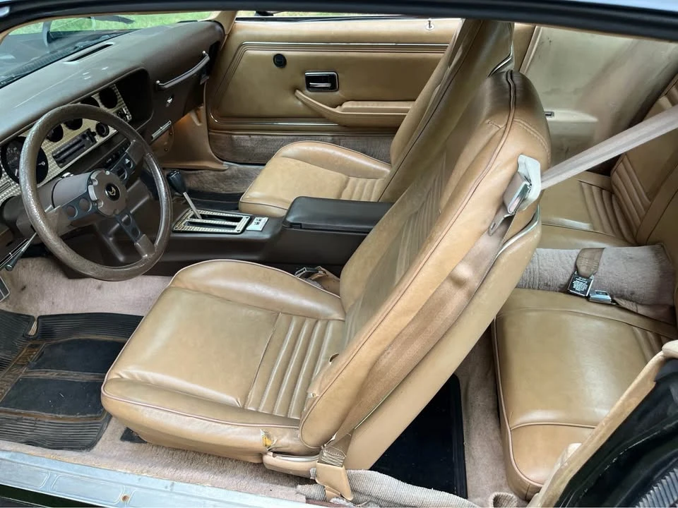 1981 Pontiac Firebird Trans Am 2nd Gen - Image 9 of 10