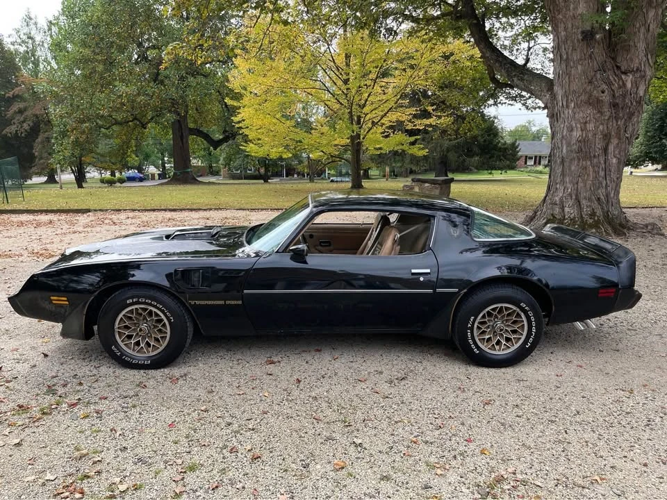 1981 Pontiac Firebird Trans Am 2nd Gen - Image 4 of 10