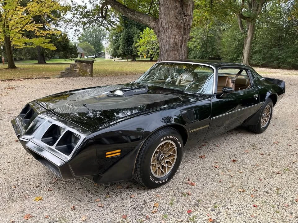 1981 Pontiac Firebird Trans Am 2nd Gen - Image 3 of 10
