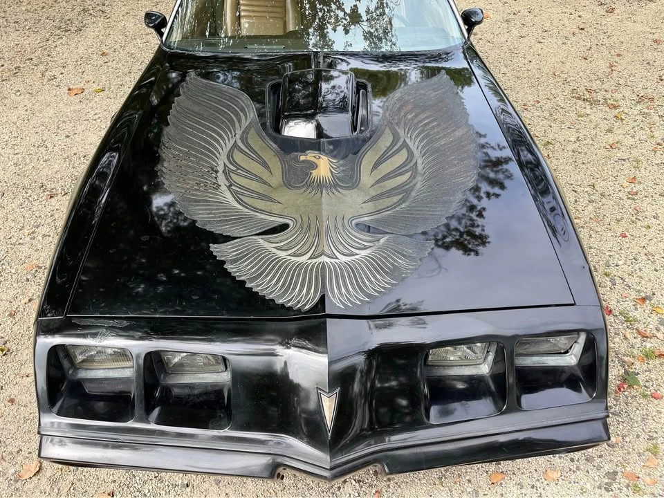 1981 Pontiac Firebird Trans Am 2nd Gen - Image 2 of 10