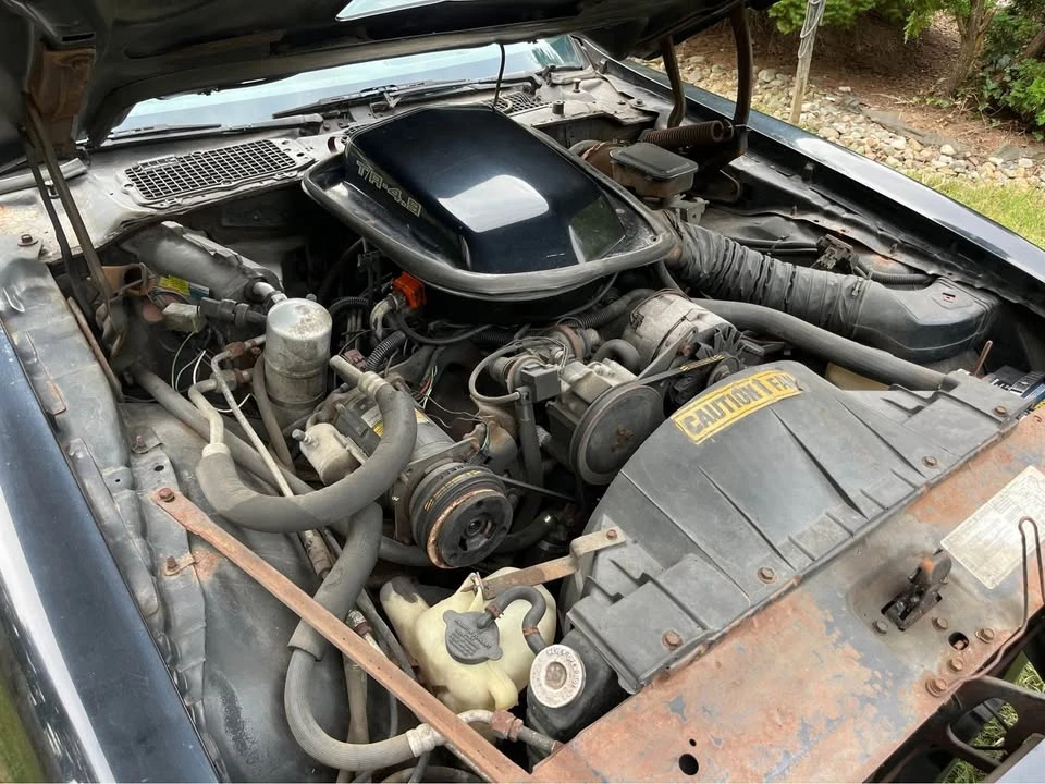 1981 Pontiac Firebird Trans Am 2nd Gen - Image 8 of 10