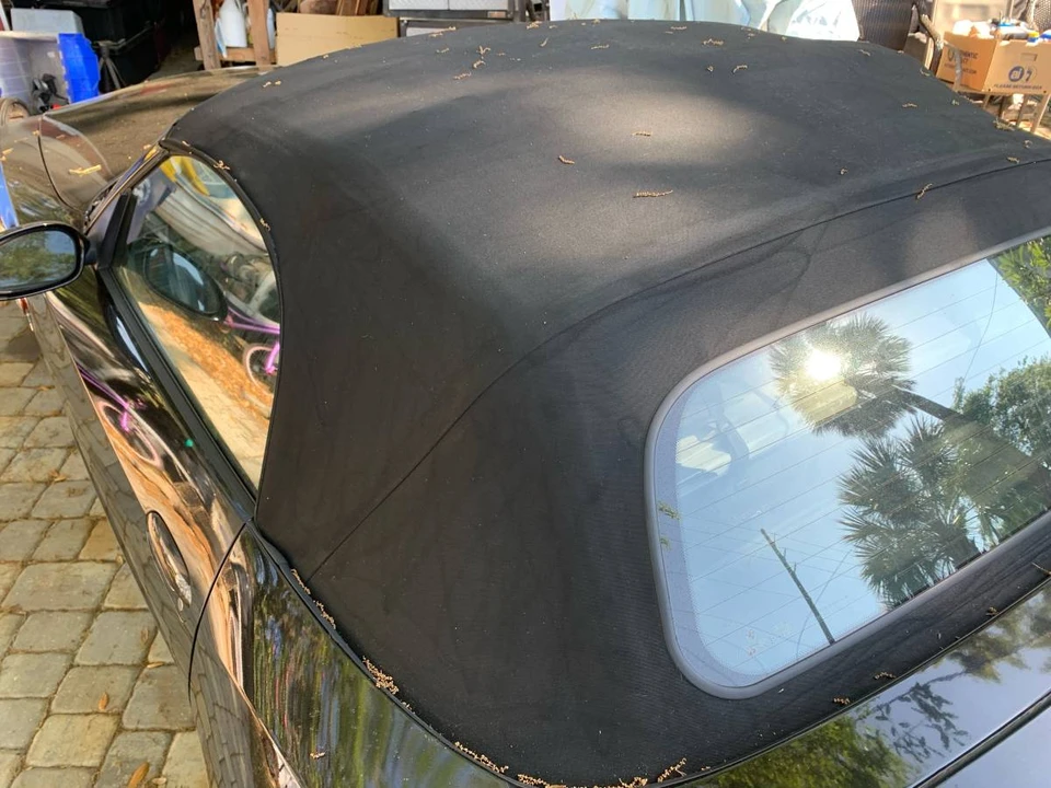 2003 BMW E85 Z4 Roadster - Image 19 of 20
