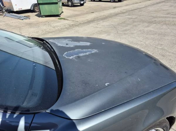 2002 BMW E39 5 Series - Image 10 of 15