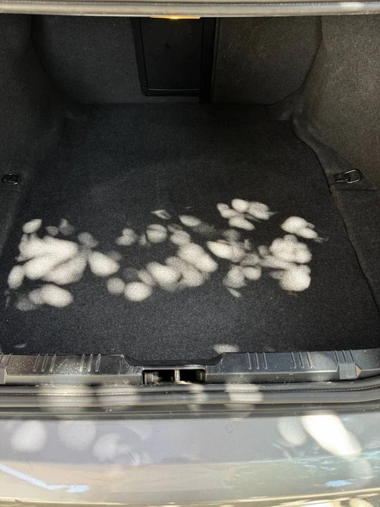 2004 BMW E39 5 Series - Image 7 of 12