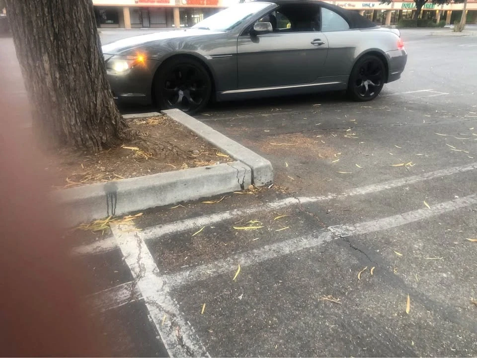 2006 BMW E63/E64 645Ci & 650i - Image 3 of 4