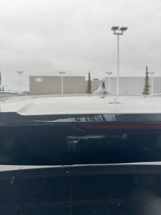 2019 BMW G05 X5 - Image 14 of 16