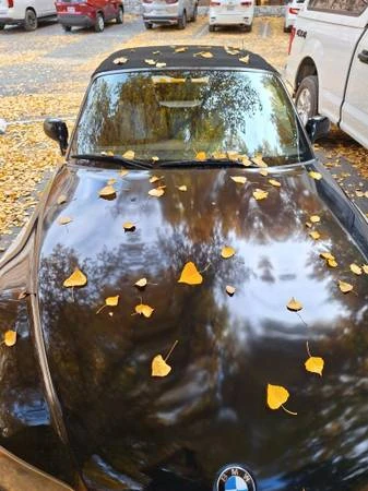 1999 BMW Z3 Roadster - Image 10 of 10