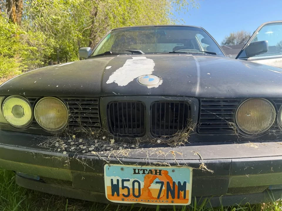 1989 BMW E34 5 Series - Image 6 of 10