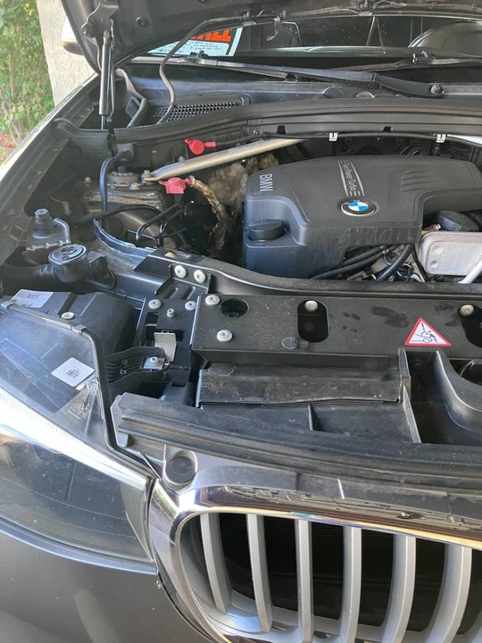2015 BMW F25 X3 - Image 14 of 16