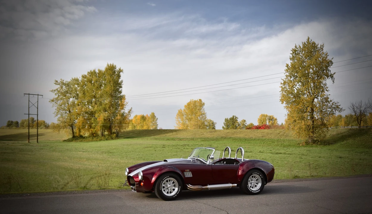 Shelby Cobra Replica - Image 13 of 31