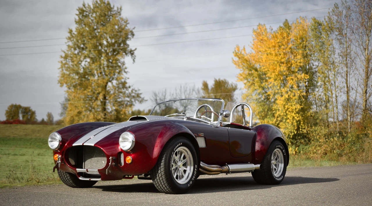 Shelby Cobra Replica - Image 10 of 31