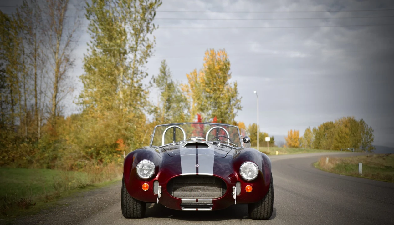 Shelby Cobra Replica - Image 31 of 31
