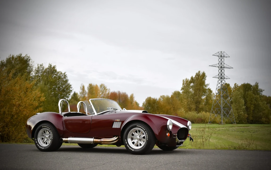 Shelby Cobra Replica - Image 28 of 31