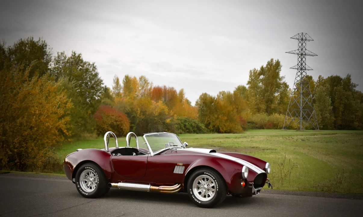 Shelby Cobra Replica - Image 27 of 31
