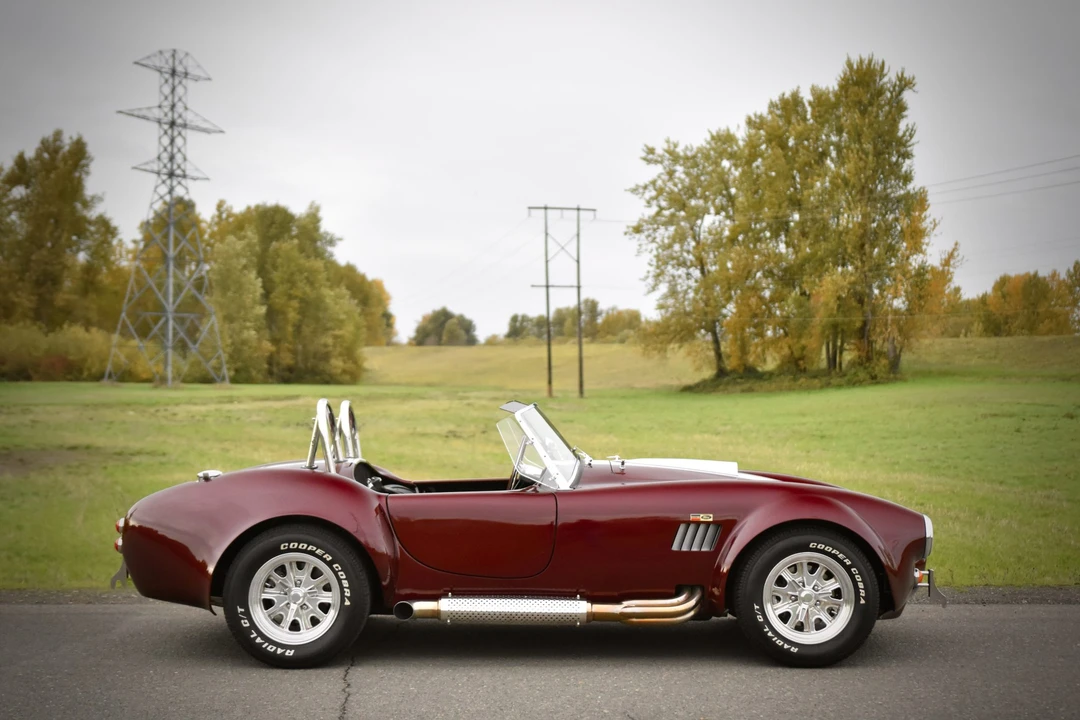 Shelby Cobra Replica - Image 25 of 31