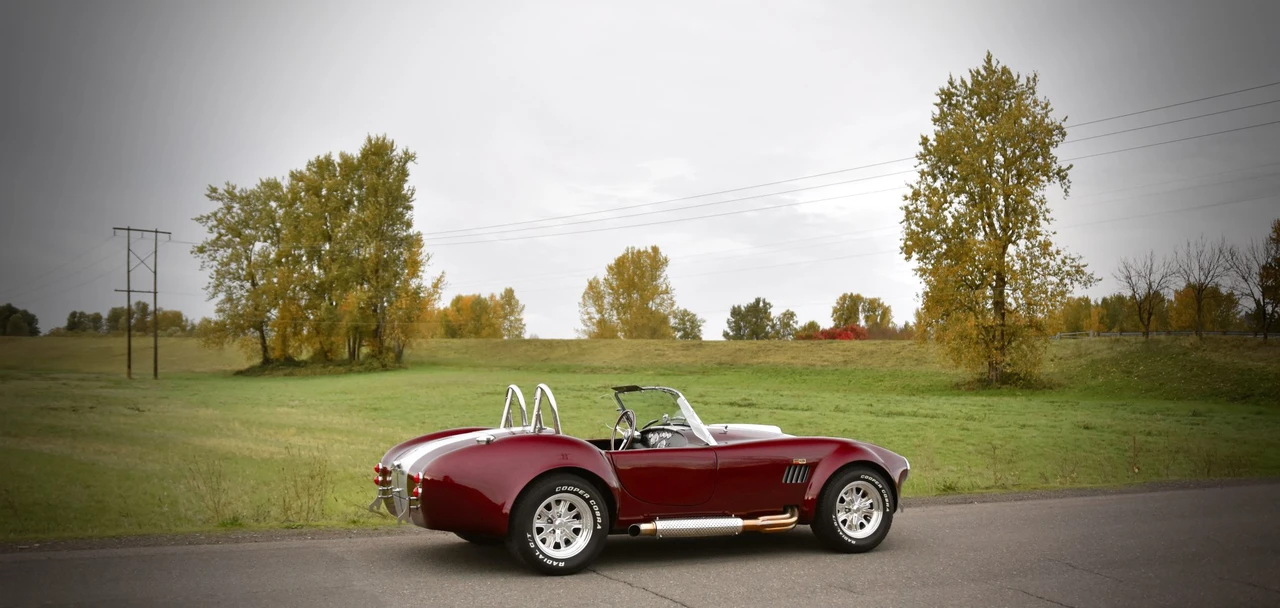 Shelby Cobra Replica - Image 24 of 31