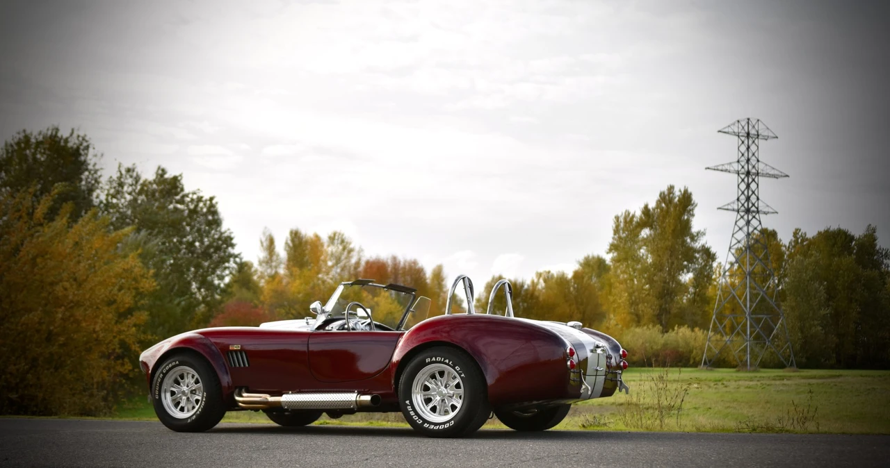 Shelby Cobra Replica - Image 16 of 31