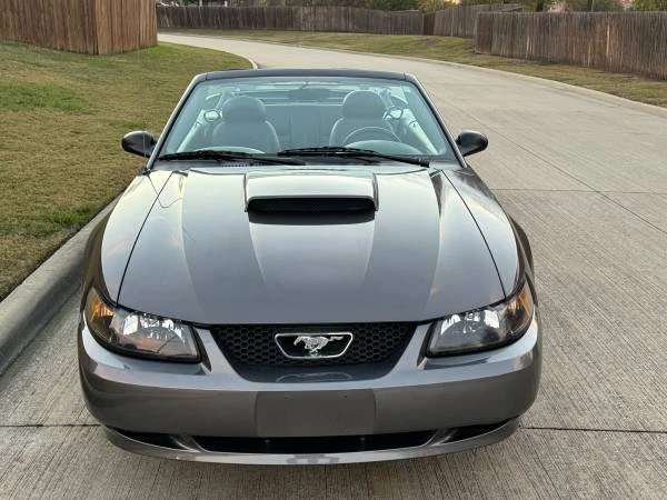 2003 Ford SN95 Mustang - Image 6 of 21