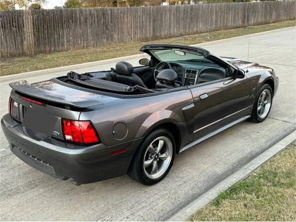 2003 Ford SN95 Mustang - Image 10 of 21