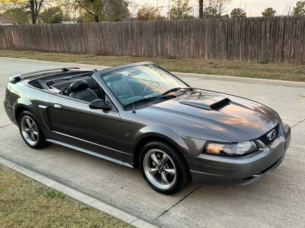 2003 Ford SN95 Mustang - Image 11 of 21