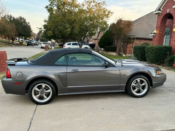 2004 Ford SN95 Mustang - Image 14 of 21