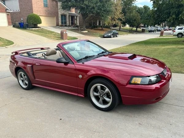2004 Ford SN95 Mustang - Image 10 of 18
