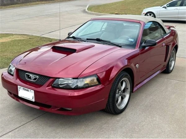 2004 Ford SN95 Mustang - Image 2 of 18