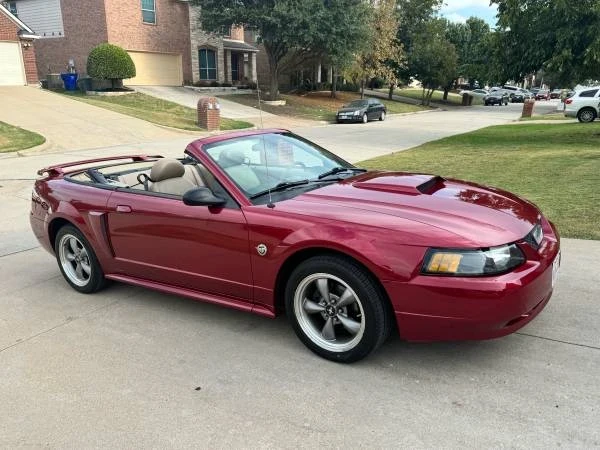2004 Ford SN95 Mustang - Image 10 of 18
