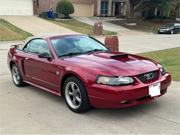2004 Ford SN95 Mustang - Image 8 of 18