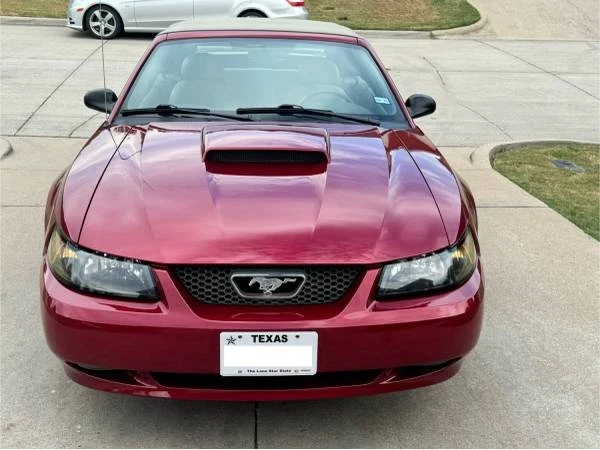 2004 Ford SN95 Mustang - Image 5 of 18