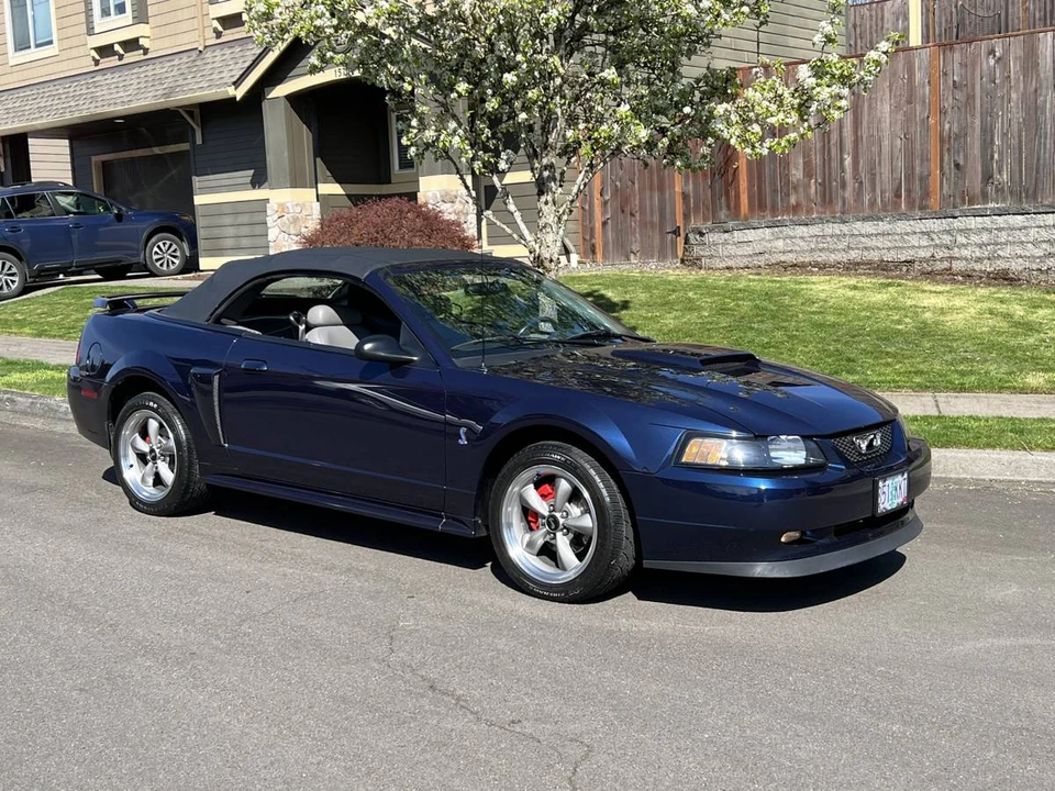2001 Ford SN95 Mustang - Image 4 of 19