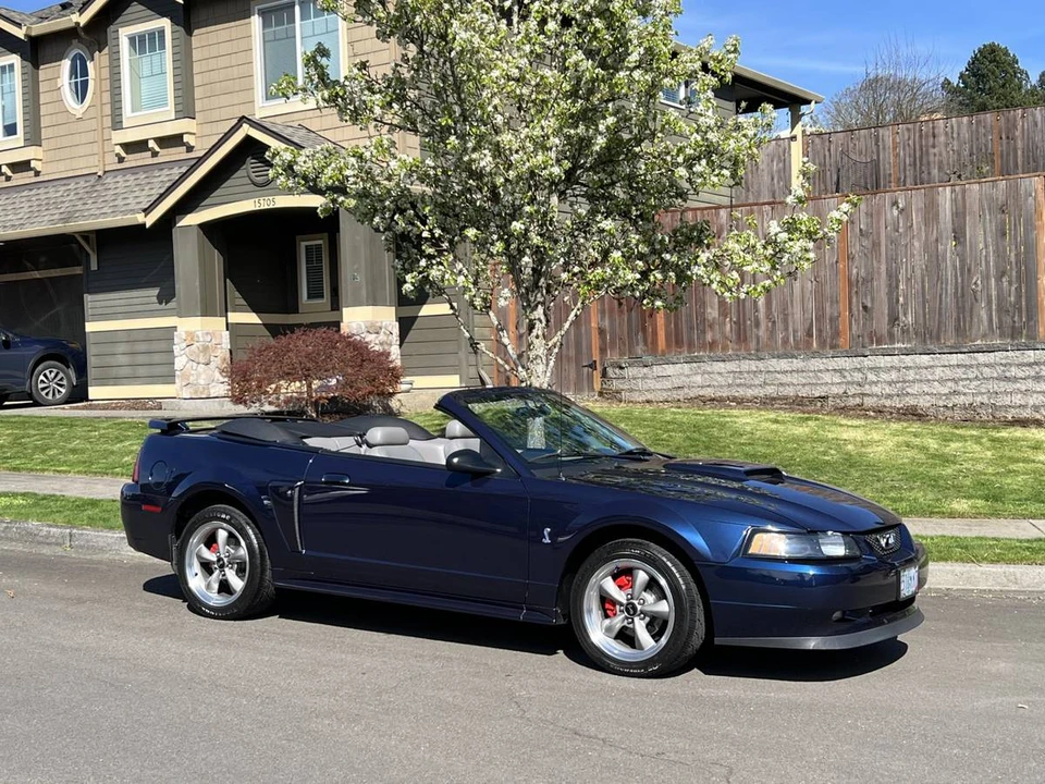 2001 Ford SN95 Mustang - Image 6 of 19