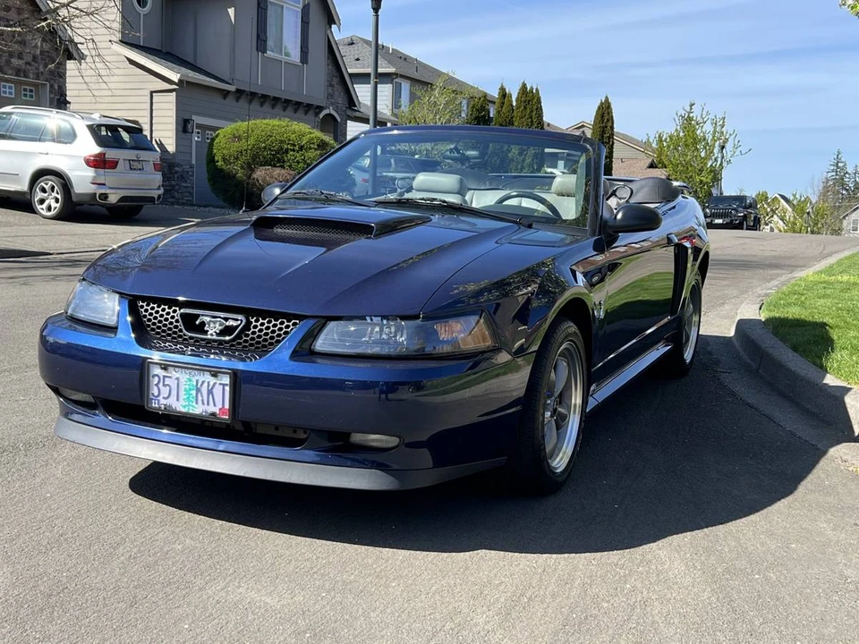 2001 Ford SN95 Mustang - Image 9 of 19