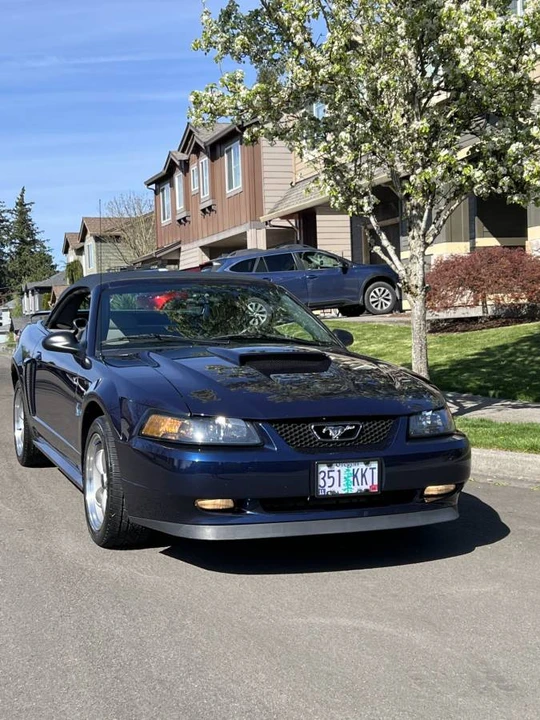 2001 Ford SN95 Mustang - Image 7 of 19