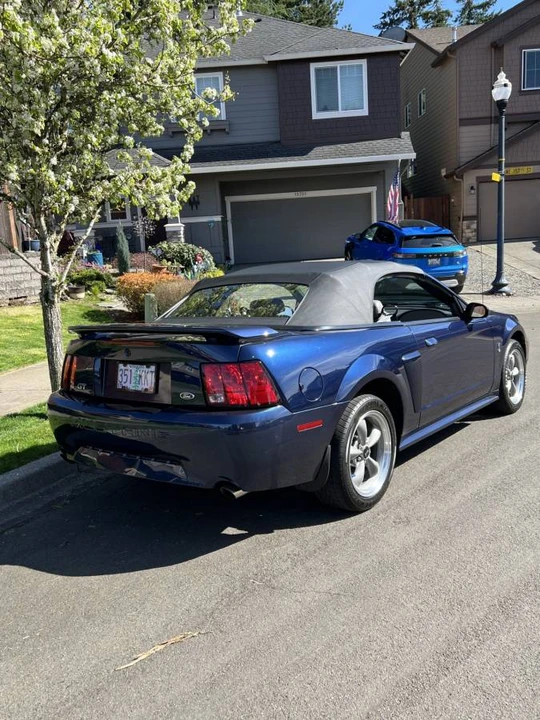 2001 Ford SN95 Mustang - Image 8 of 19