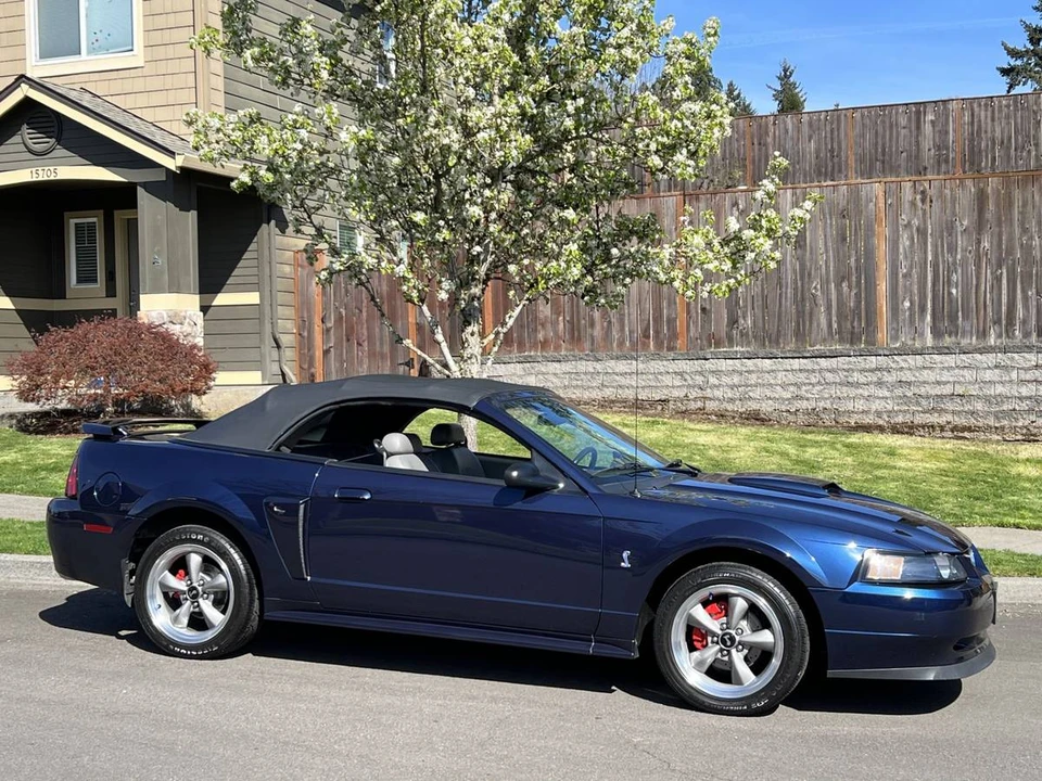 2001 Ford SN95 Mustang - Image 5 of 19